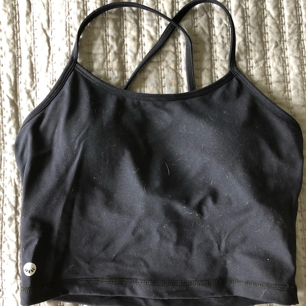 ❤️ Senita ava crop top